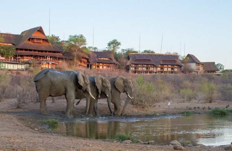 the elephants have a last drink in front of Victoria Falls Safari Lodge before night fall.