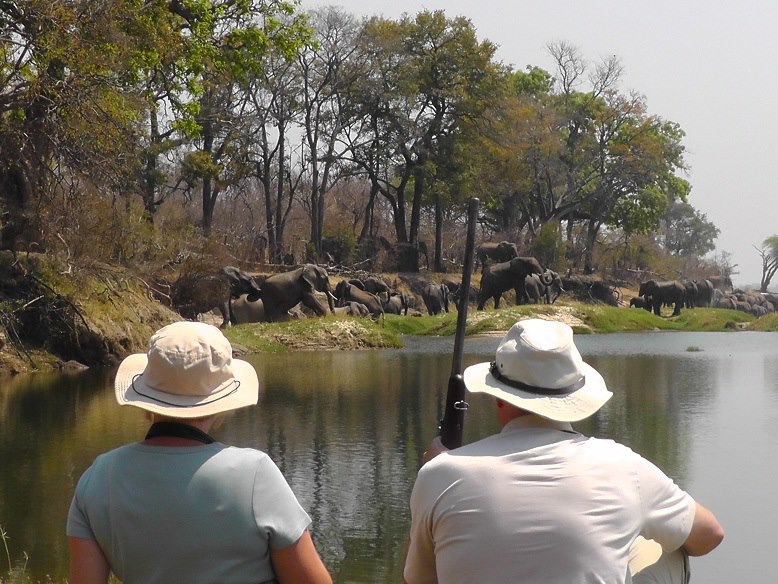 walking safari Victoria Falls