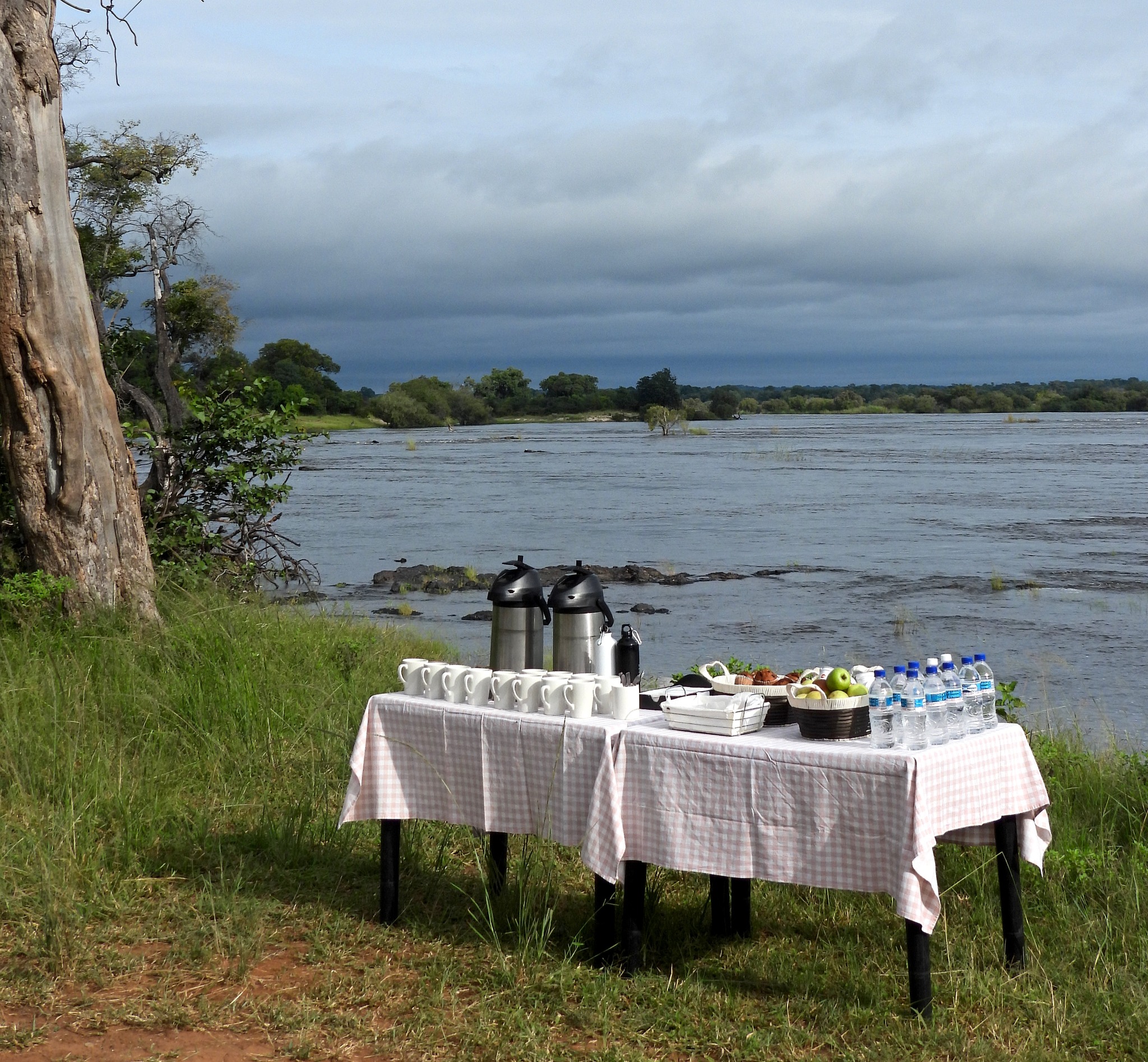 Tea, coffee and freshly baked muffins on the banks of the Zambezi River.