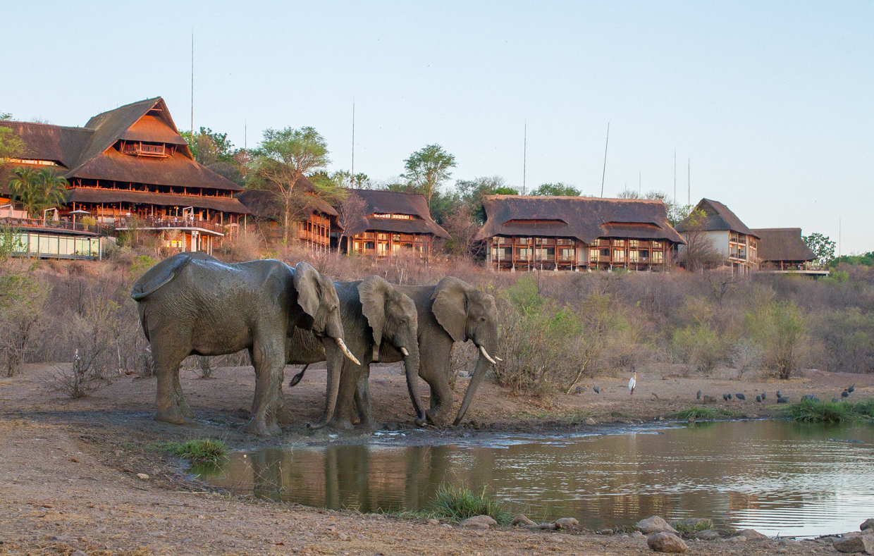the elephants have a last drink in front of Victoria Falls Safari Lodge before night fall.