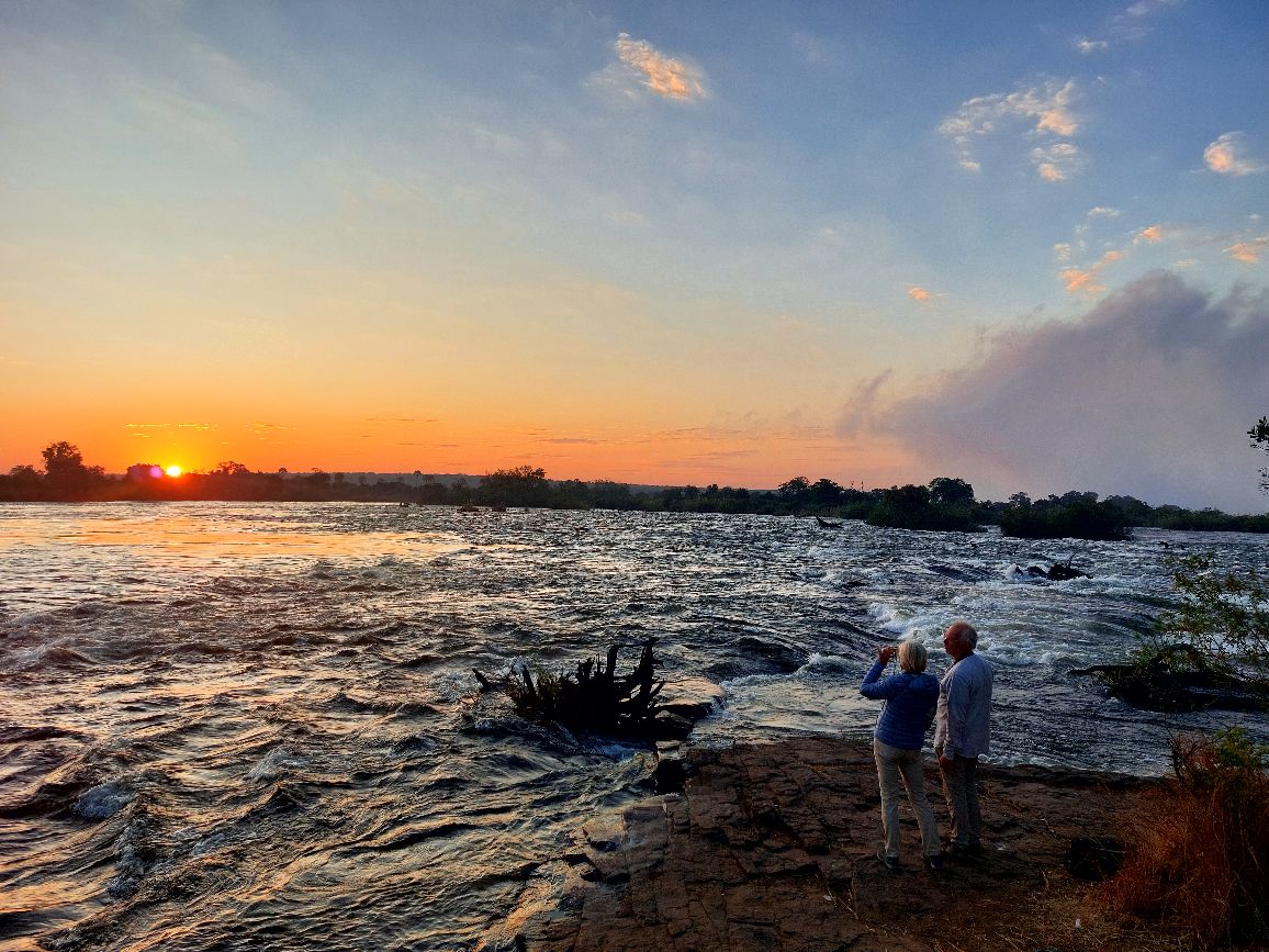 morning bird watching safari